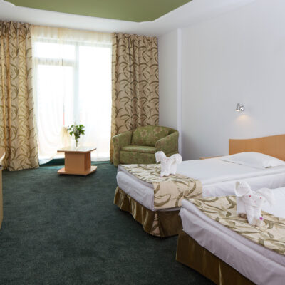 Twin room Mena Palace_1